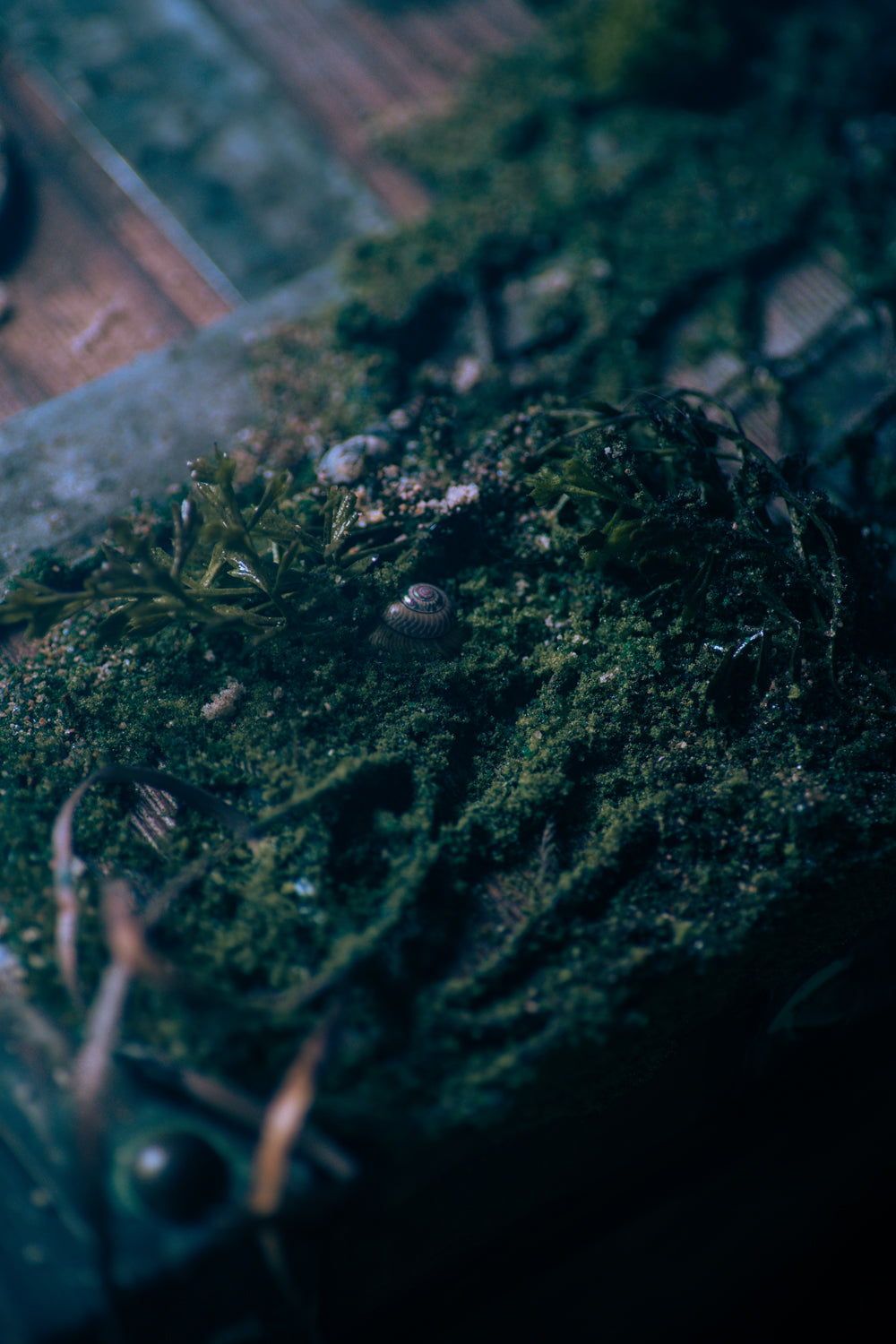 &quot;Old Thunder&quot; Ahabs Sea Chest