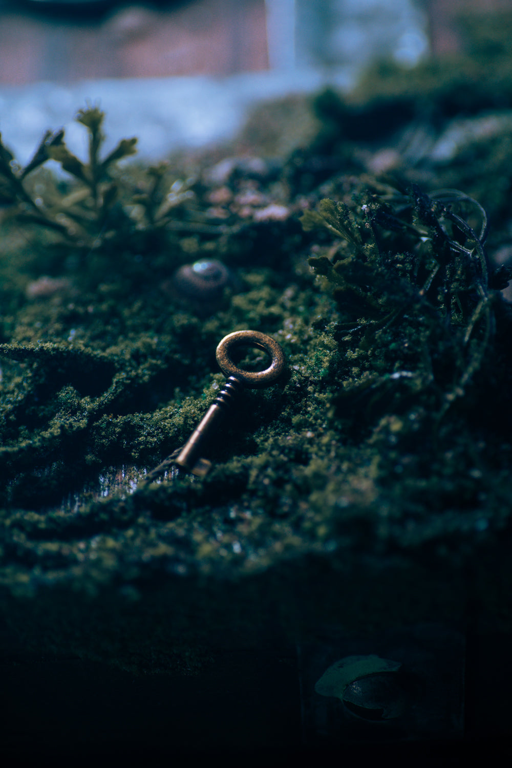 "Old Thunder" Ahabs Sea Chest