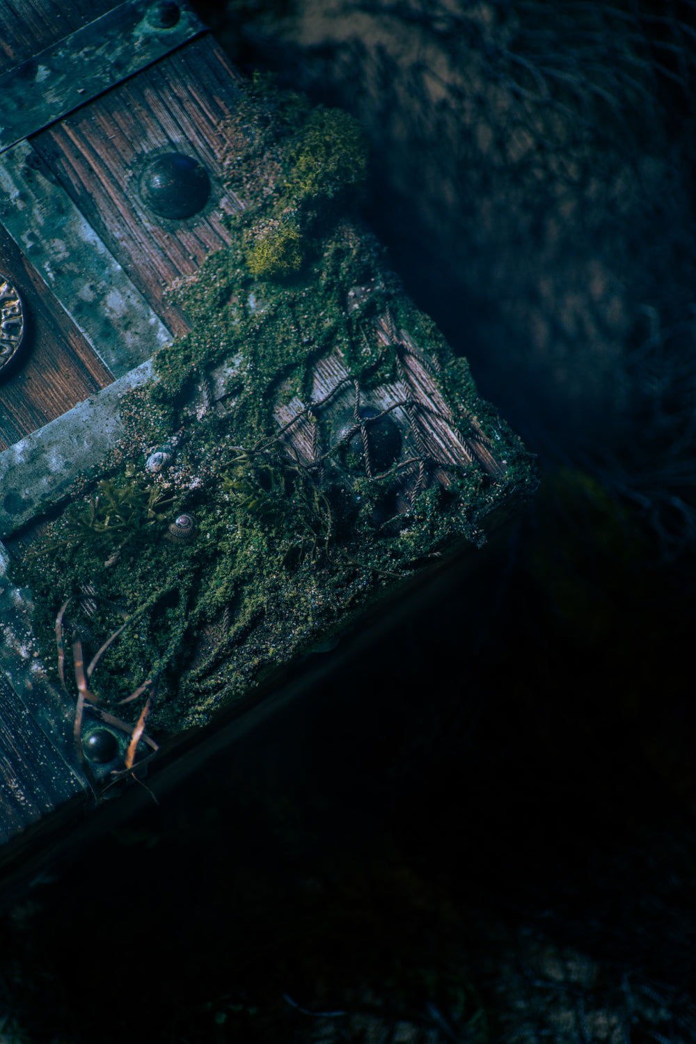 &quot;Old Thunder&quot; Ahabs Sea Chest