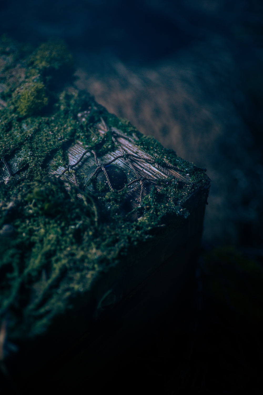 &quot;Old Thunder&quot; Ahabs Sea Chest