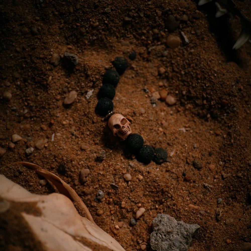 Memento Mori Fragrance Box Set