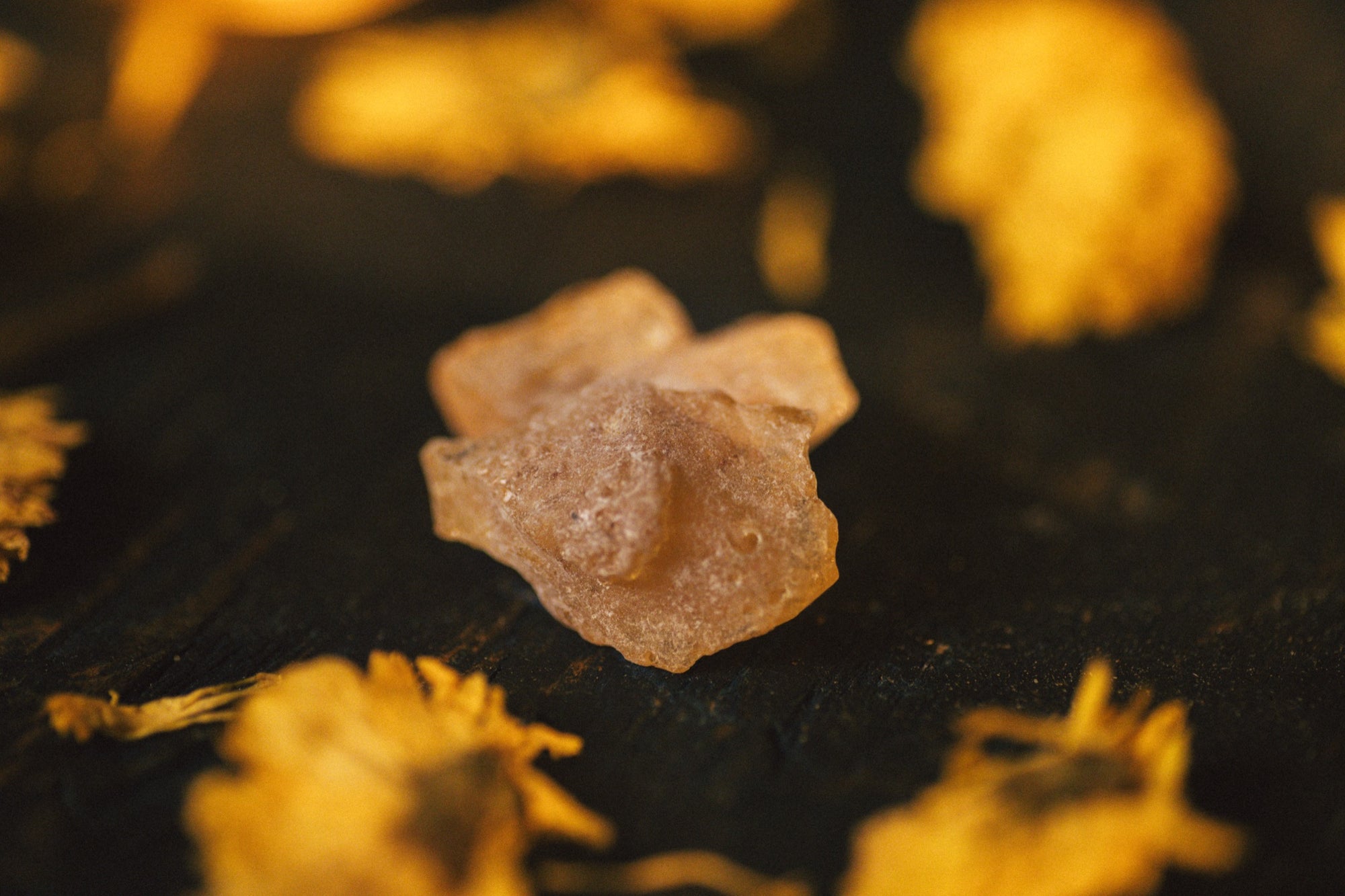 La Ofrenda by The Holy Black, copal resin macro